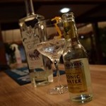Gin and Tonic